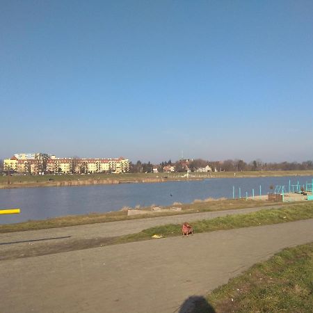 Nighthost- Trzebnicka 84 Apartment Wroclaw Ngoại thất bức ảnh