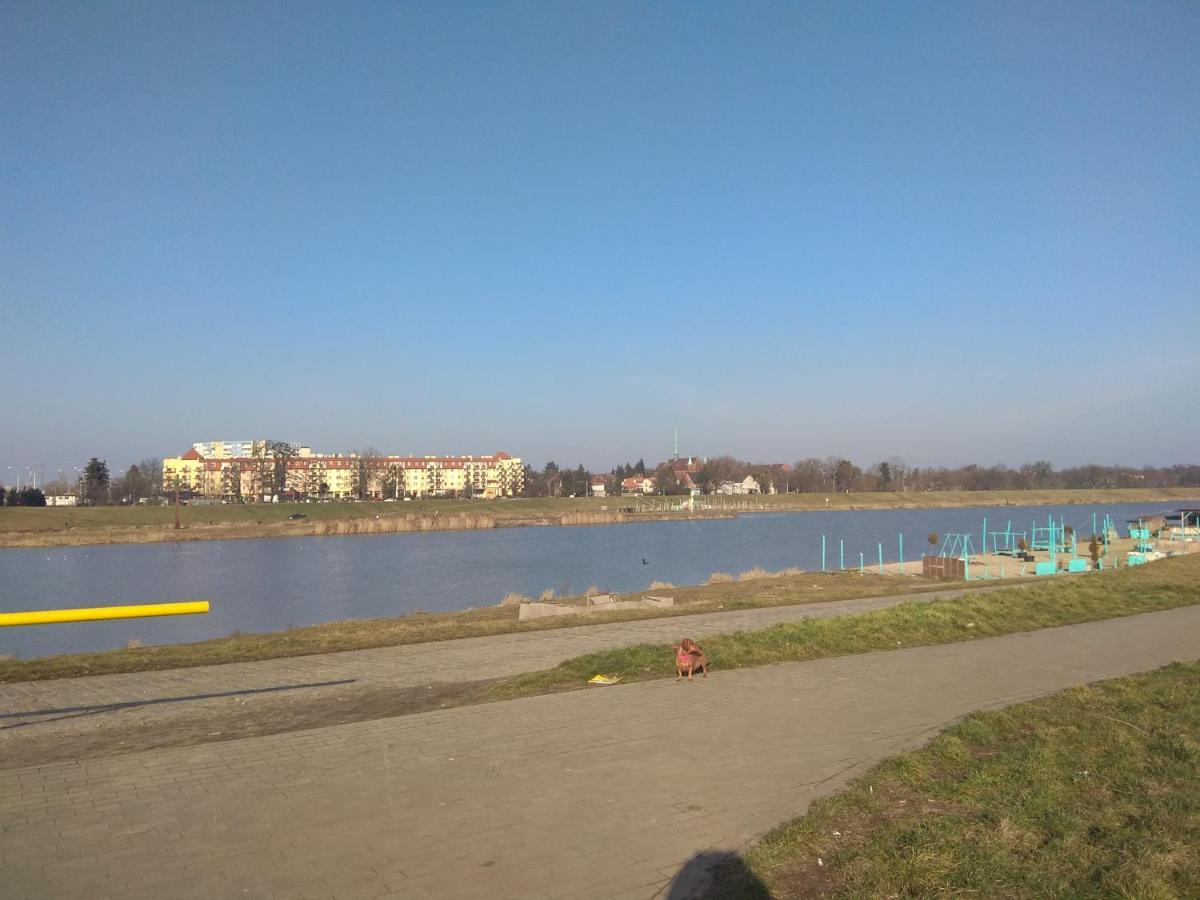 Nighthost- Trzebnicka 84 Apartment Wroclaw Ngoại thất bức ảnh